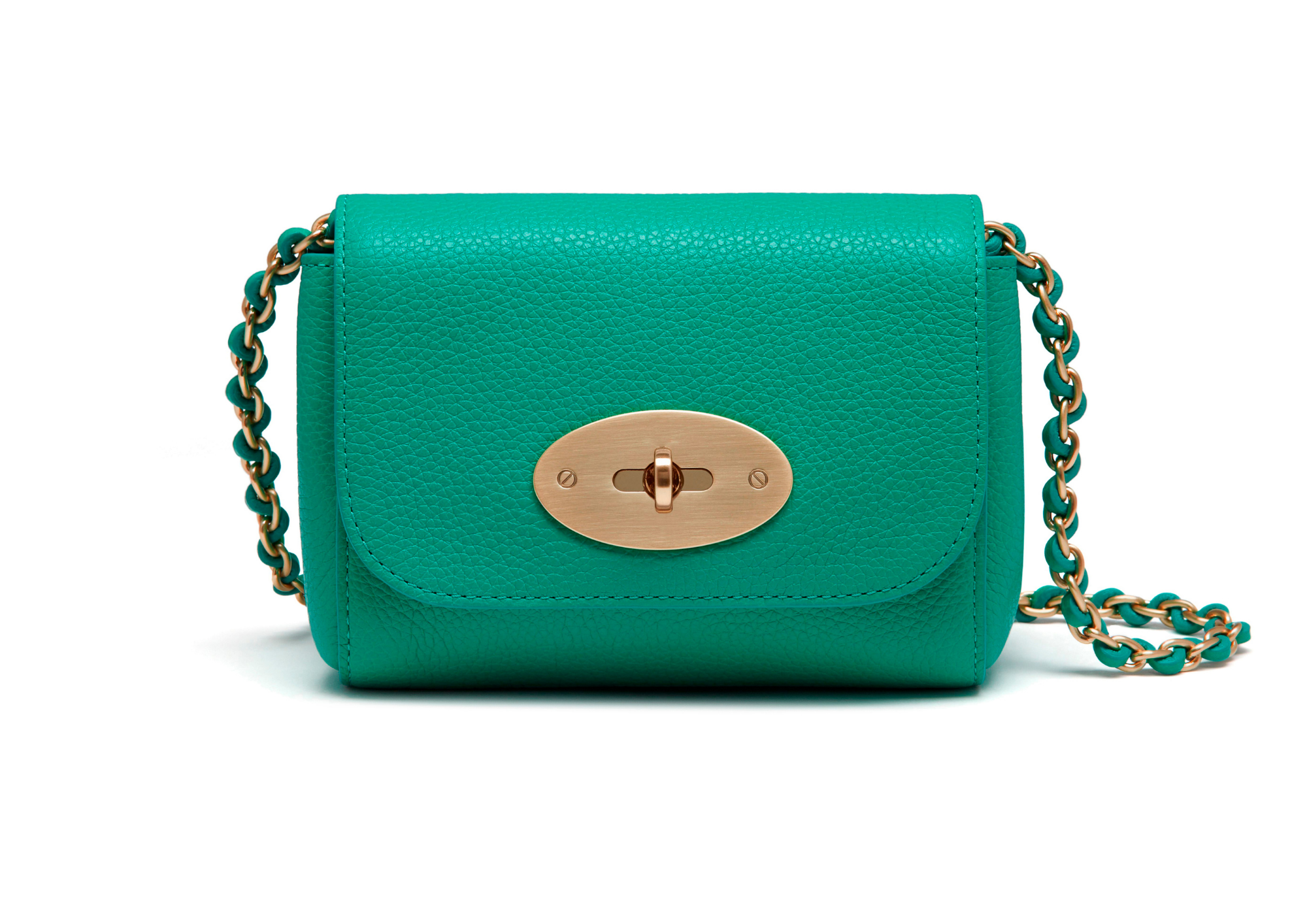 Handbag Cleaning